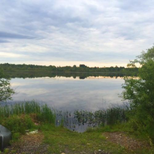 View of Woodruff Pond